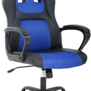 61vjrFT0L7L._AC_SL1010.jpg Office Chair PC Gaming Chair Cheap Desk Chair Ergonomic PU Leather Executive Computer Chair Lumbar Support for Women, Men (Red)