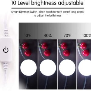 61zEahd8VoL._AC_SL1500.jpg Brightown Vanity Lights for Mirror, 10 Bulbs Dimmable Mirror Lights Stick On, 11.8Ft Adjustable Length Makeup Light, Vanity Lighting Fixtures for Hollywood Mirror(No Mirror Included)