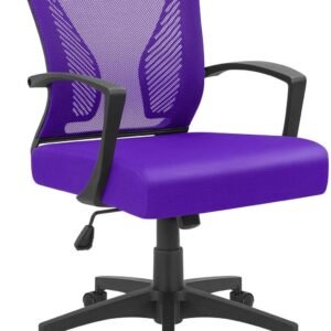 71cRDYqMmjL._AC_SL1500.jpg Furmax Office Chair Mid Back Swivel Lumbar Support Desk Chair, Computer Ergonomic Mesh Chair with Armrest (Black)