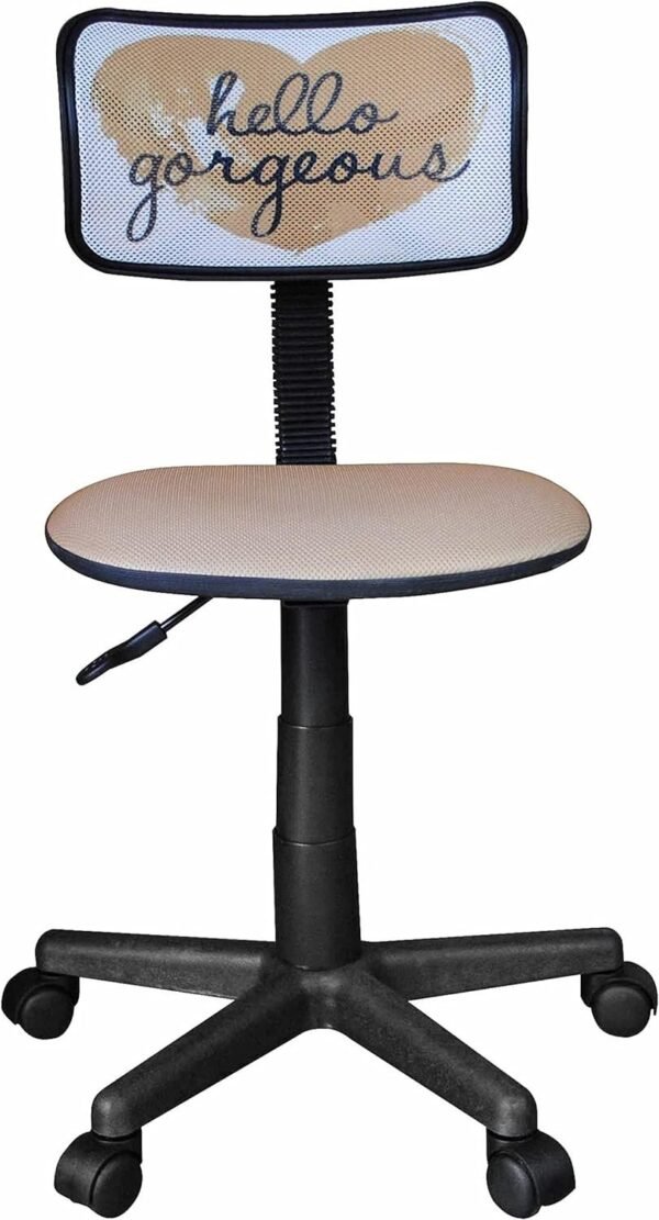 71qc9lgsGWL._AC_SL1500.jpg Swivel Mesh Desk Chair, Silver 21D x 21W x 33H in