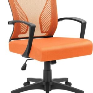 71sm4RWSe2L._AC_SL1500.jpg Furmax Office Chair Mid Back Swivel Lumbar Support Desk Chair, Computer Ergonomic Mesh Chair with Armrest (Black)