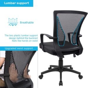 71vBiBYJr9L._AC_SL1000.jpg Furmax Office Chair Mid Back Swivel Lumbar Support Desk Chair, Computer Ergonomic Mesh Chair with Armrest (Black)