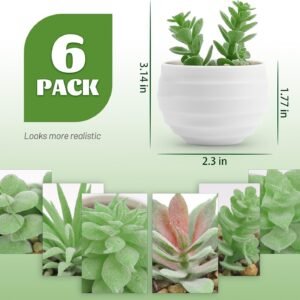 Der Rose Set of 6 Succulents Plants Artificial in Pots Small Fake Plants for Bedroom Aesthetic Living Room Office Shelf Bathroom Decor