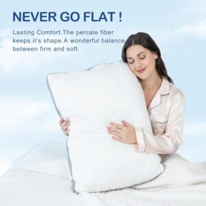 ACCURATEX Pillows Queen Size Set of 2 - Rayon Derived from Bamboo Cool Cover, Soft Down Alternative Fluffy Filling, Cooling Breathable Pillow, Adjustbale Pillows for Side Back Stomach Sleepers